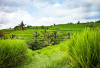 Liburan Seru! Berkelana dalam Keindahan Geopark Ciletuh-Palabuhanratu di Sukabumi, HANYA di Indonesia Bukan Daerah yang Lain